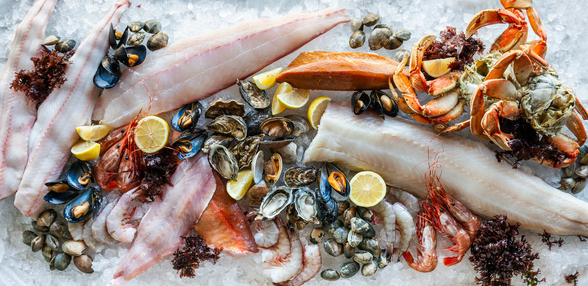 Fresh Oysters From Our Farm